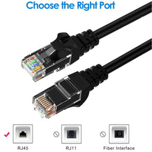 CDD Cat6 UTP 24AWG Patch Ethernet Cable with Snagless RJ45 Connectors, 50 Ft